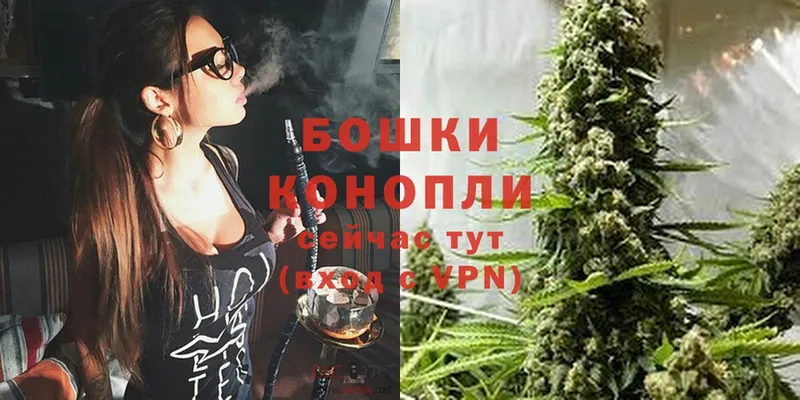 Бошки Шишки Ganja  Андреаполь 